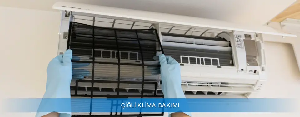Çiğli İlçemi Alarko Carrier Klima Bakımı
